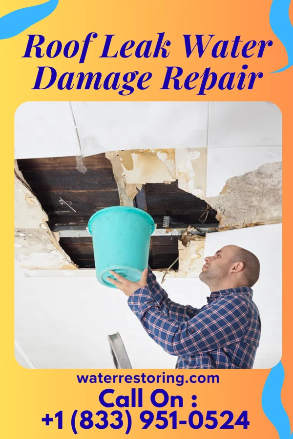 Roof Leak Water Damage Repair in Allport, AR